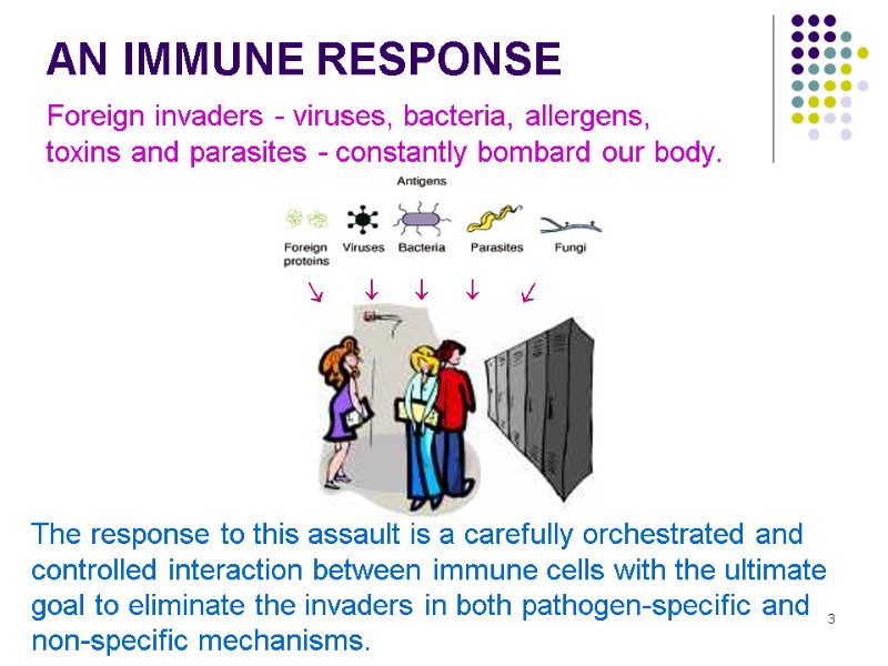 3    AN IMMUNE RESPONSE Foreign invaders - viruses, bacteria, allergens, 